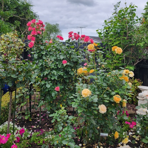 Garden of Memories image