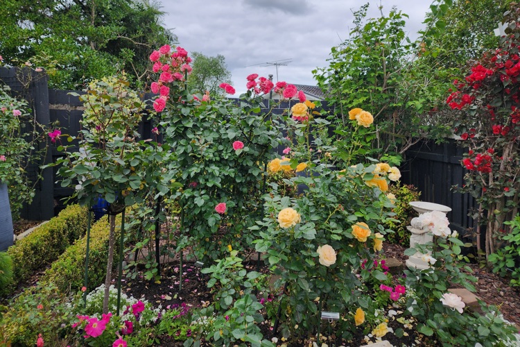 Garden of Memories