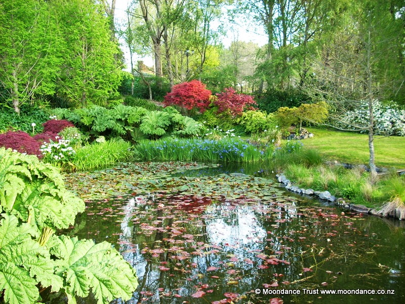 Pond Spring View