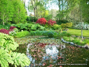 Pond Spring View