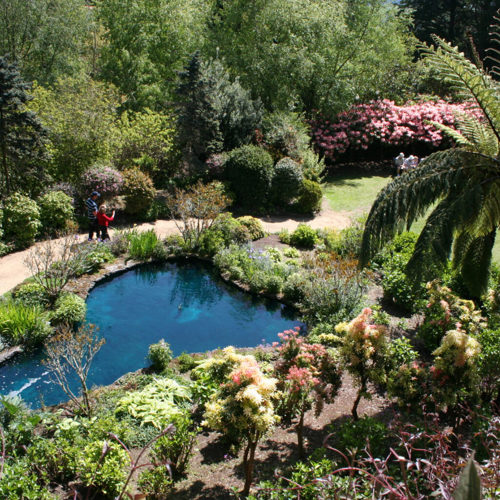 Cross Hills Gardens and Nursery image