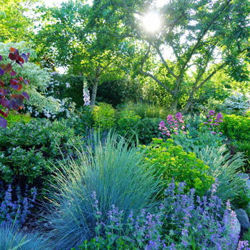 Shade Garden Edge