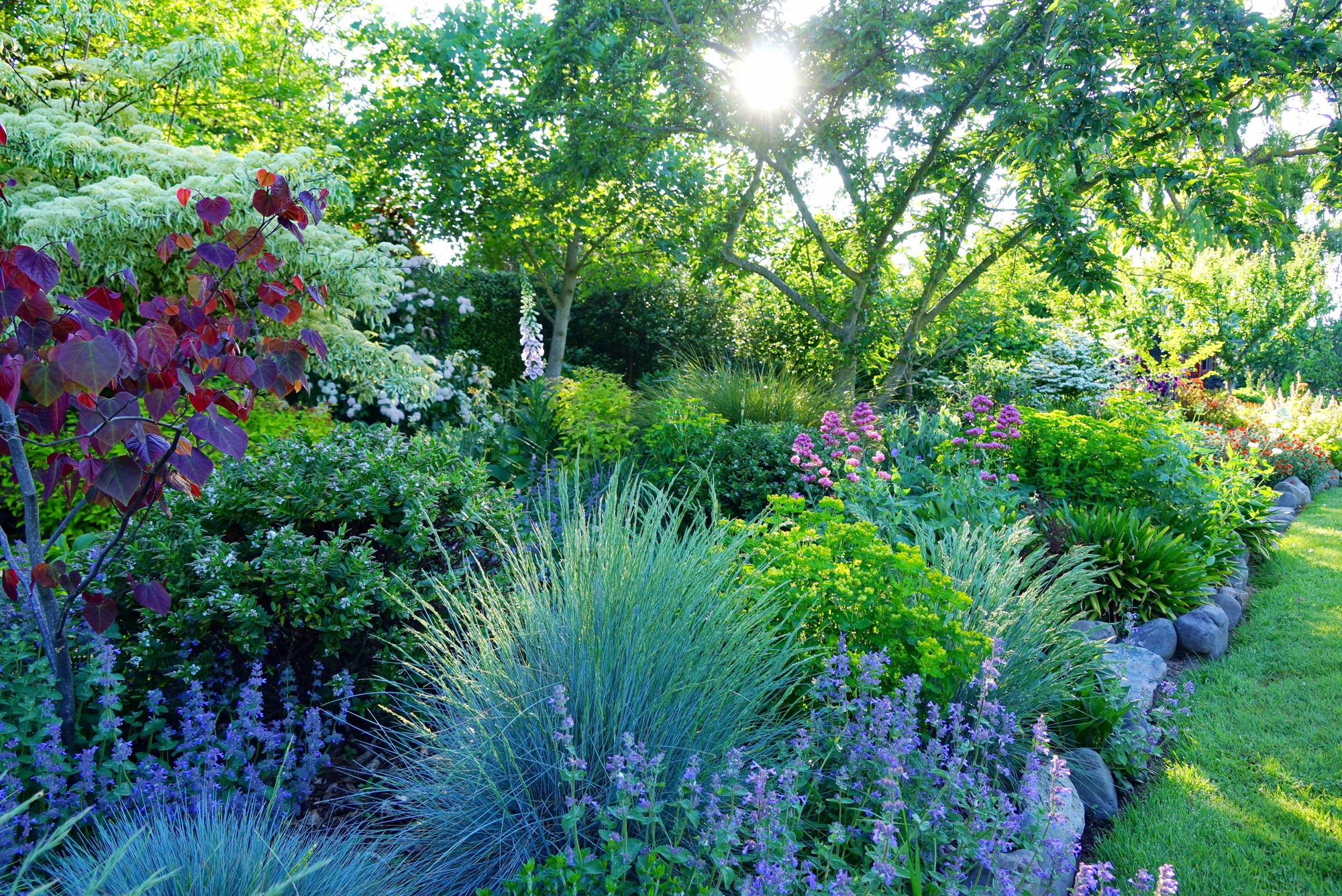 Shade Garden Edge