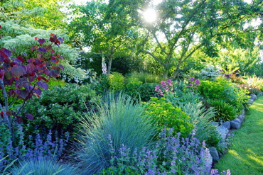 Shade Garden Edge