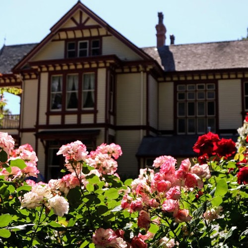 Riccarton House and Bush image