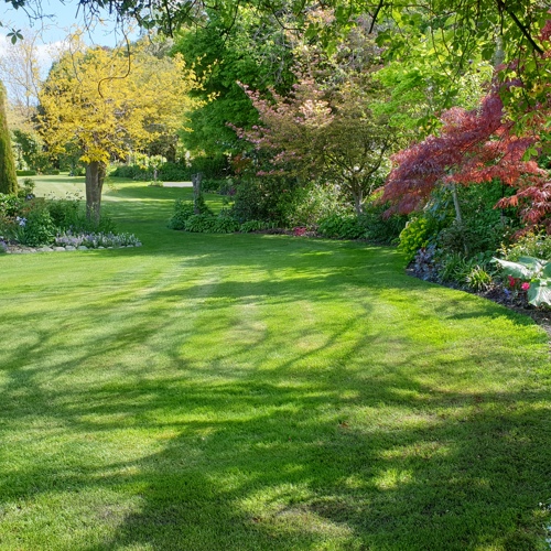 Cedar Park Gardens and B&B image