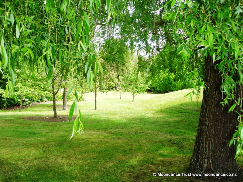 Picnic Lawn