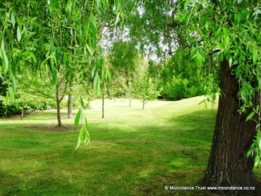 Picnic Lawn