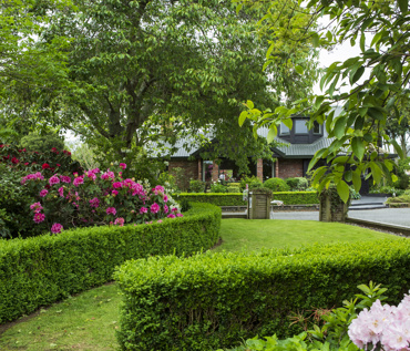 Best Sullivan Garden 2020 Jane Dove Juneau (2) (1)