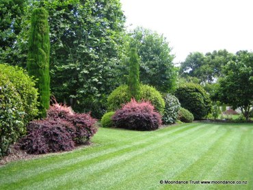 Sports Lawn Side Path