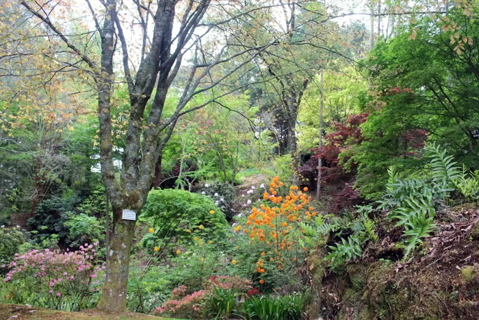 Aramatai Gardens