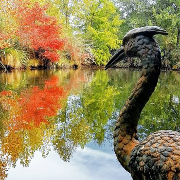 Autumn By The Lake