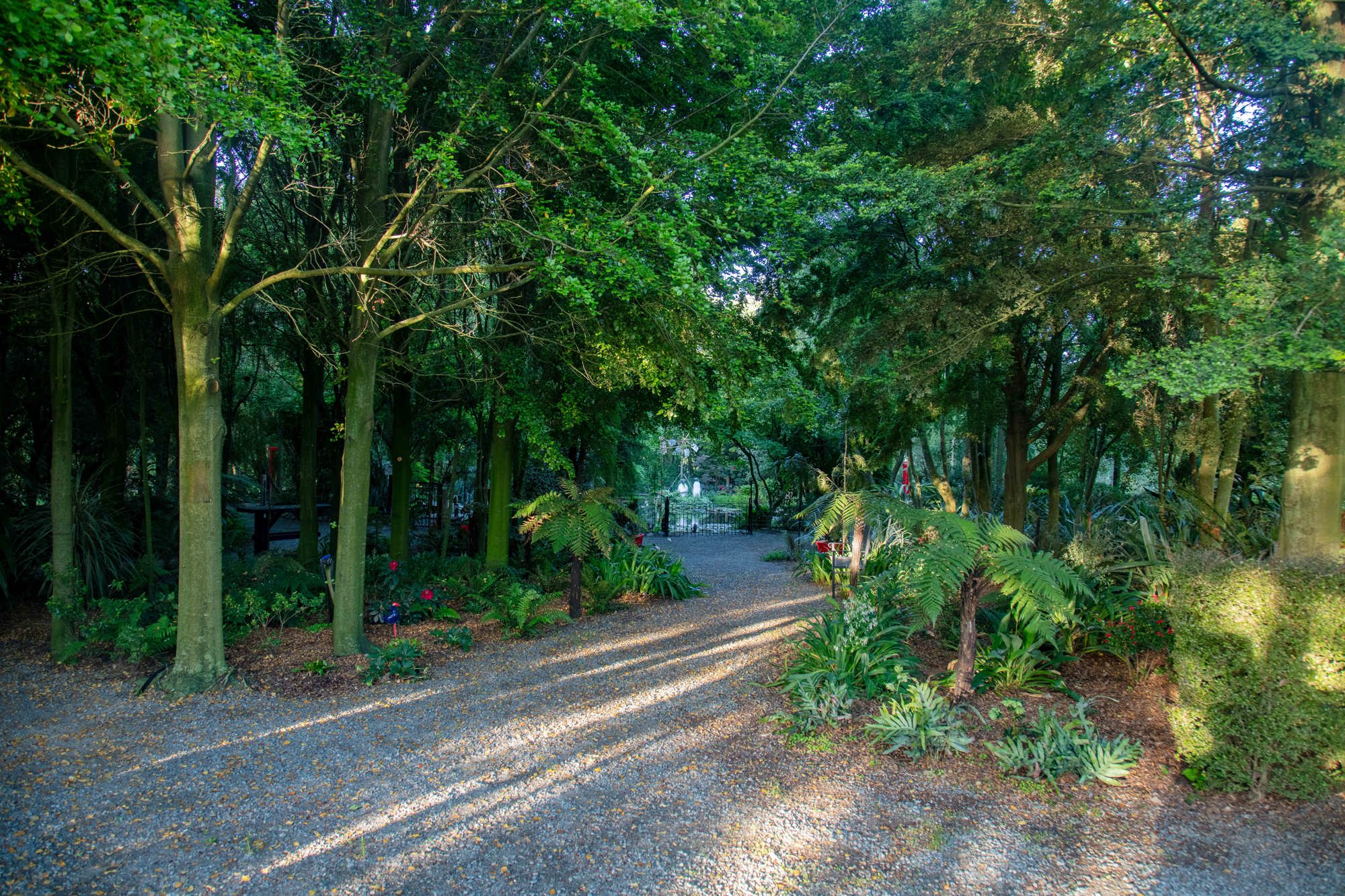 Gardens 12
