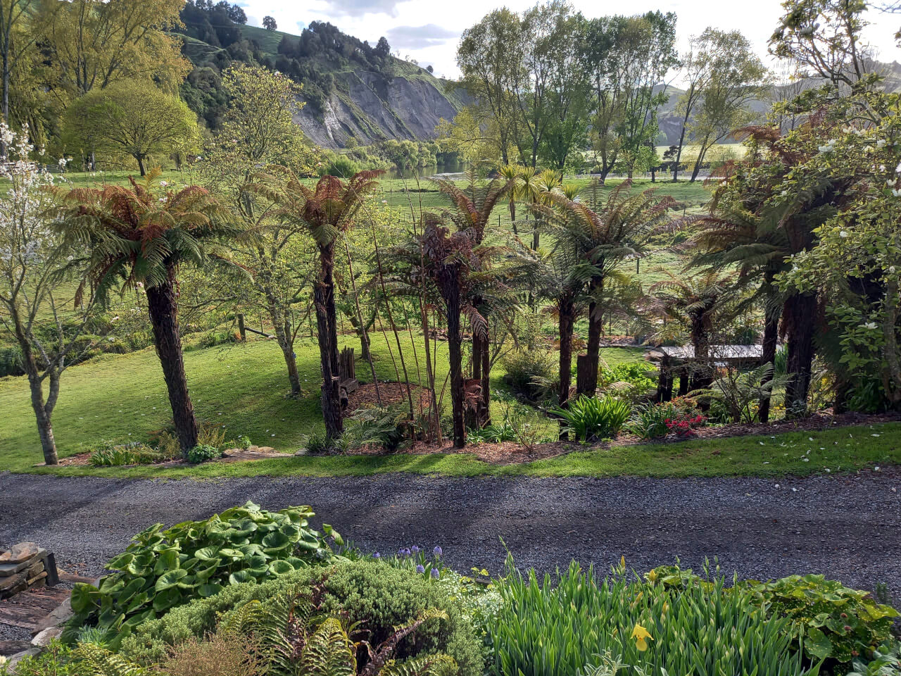 View From Deck