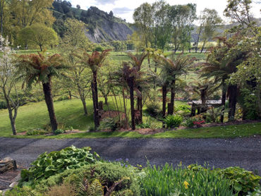 View From Deck