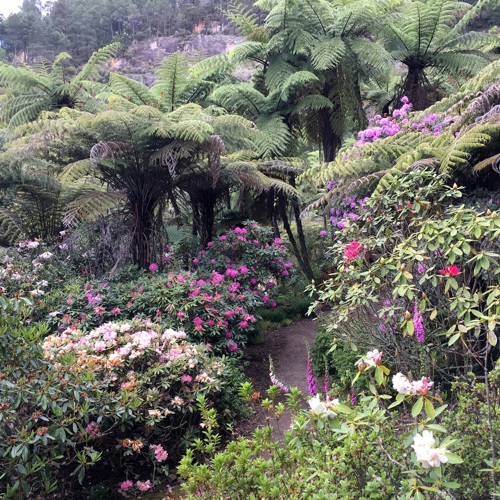 Te Puna Quarry Park image