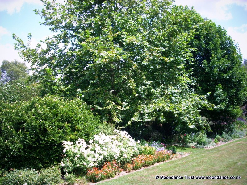 Terrace Bed 3