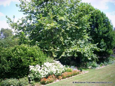 Terrace Bed 3