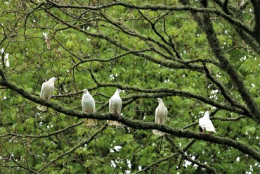 IMG 0449 (2)