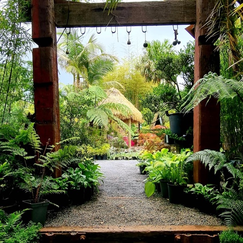 A 'Touch of the Tropics' image