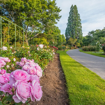 Gorepublicgardens 27