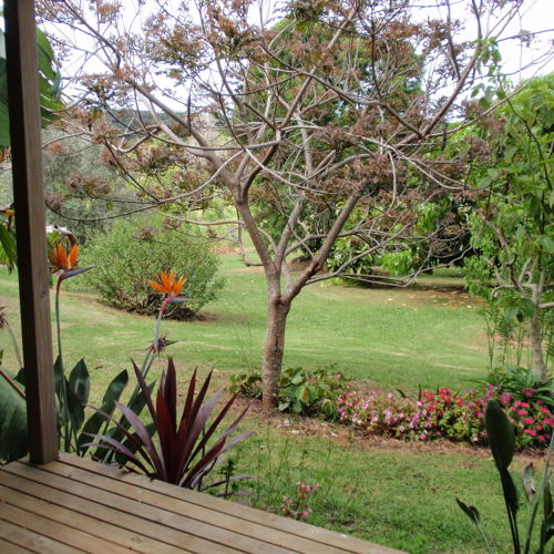 Art Park at Wharepuke Subtropical Garden image