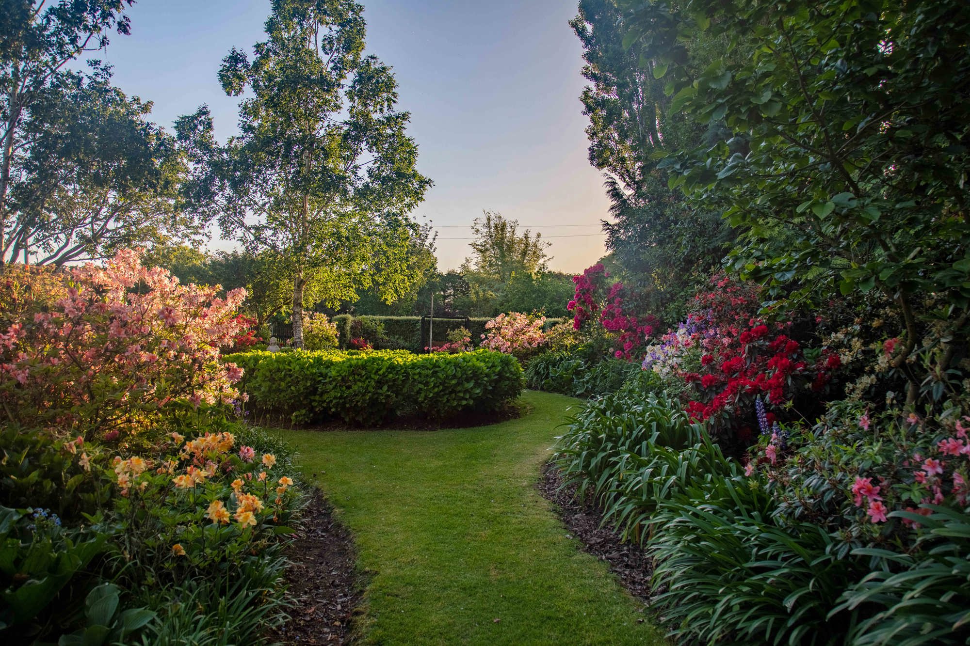 Gardens 18
