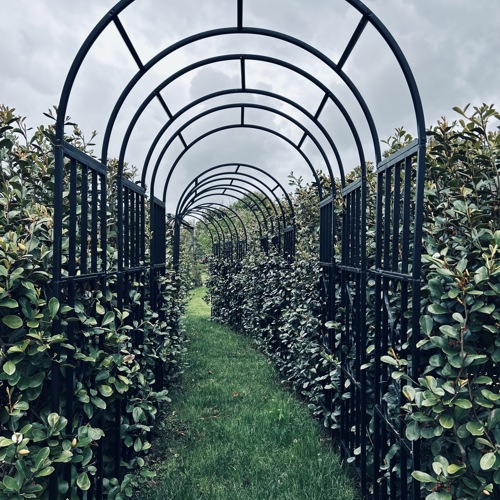 Addenbrooke Garden  image