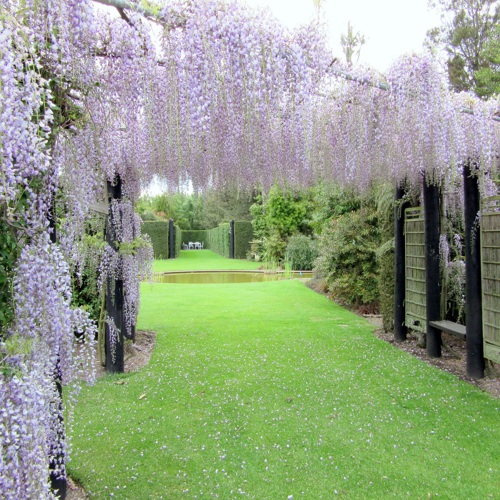 Broadfield Garden image