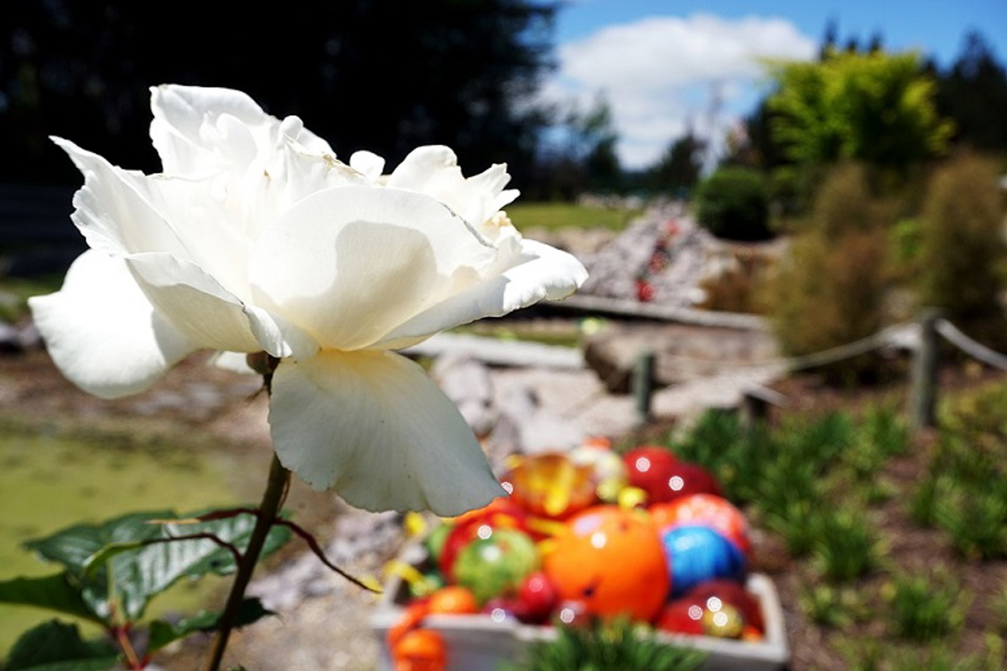 Lava Glass Sculpture Garden Boat