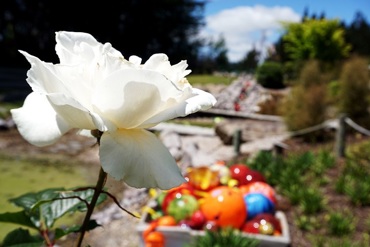 Lava Glass Sculpture Garden Boat