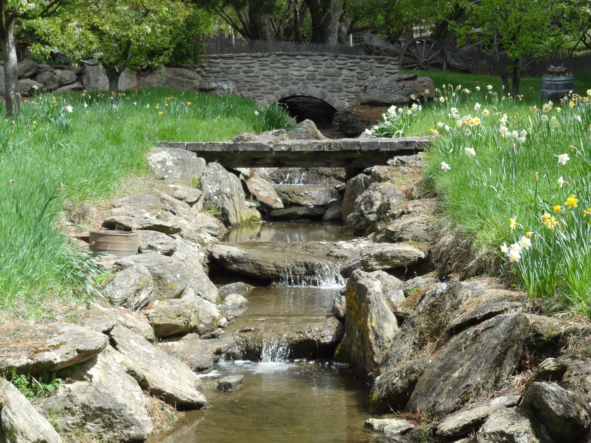 Orchard Creek
