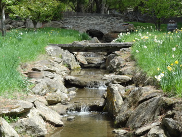 Orchard Creek