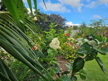 HERO2 - 500 seaview rd.jpg