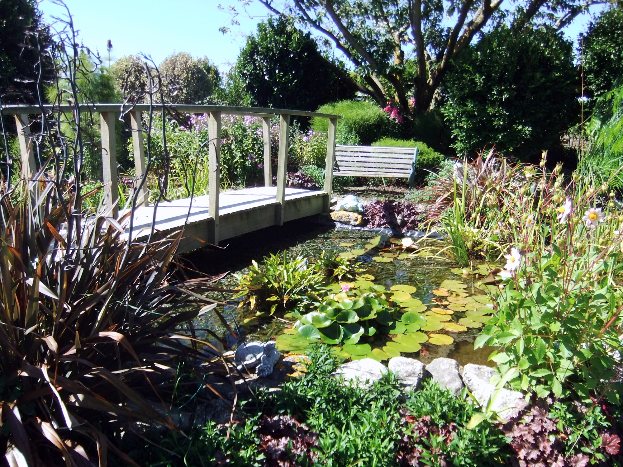 Pond