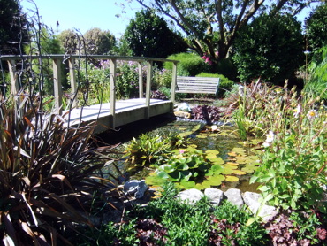 Pond