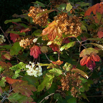 Dsc09193g2