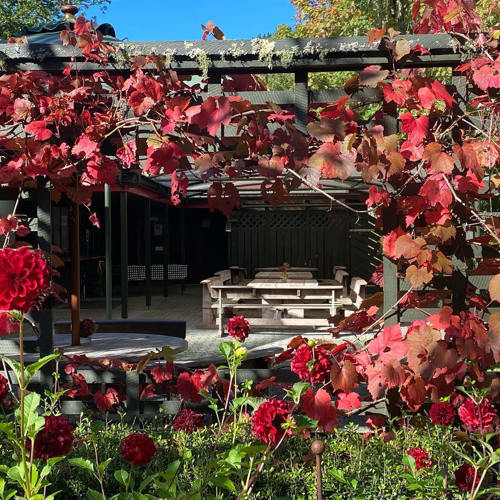 Eastwoodhill Arboretum image