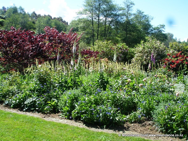 Terrace Bed 1
