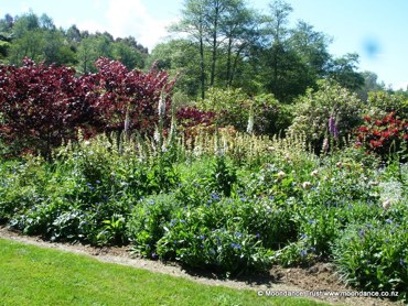 Terrace Bed 1