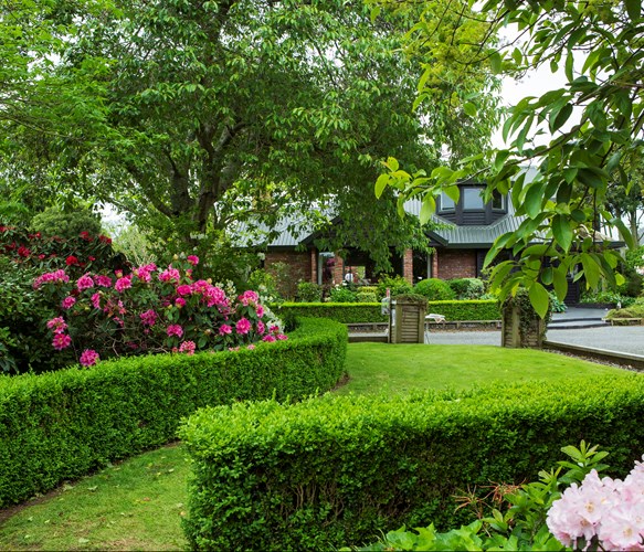 Best Sullivan Garden 2020 Jane Dove Juneau 2