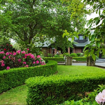 Best Sullivan Garden 2020 Jane Dove Juneau 2