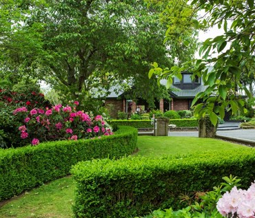 Best Sullivan Garden 2020 Jane Dove Juneau 2