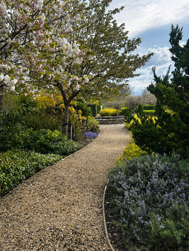 Henry & Lynne's Garden 2.png