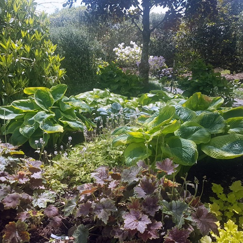 Cairnhill image