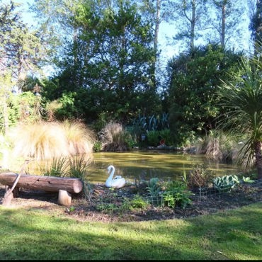 garden 14.jpg