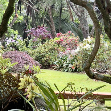 IMG 0401(1)