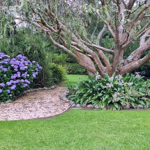 Anam Cara Gardens image