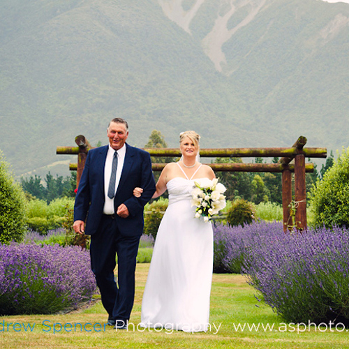 Kaikoura Lavender Farm image