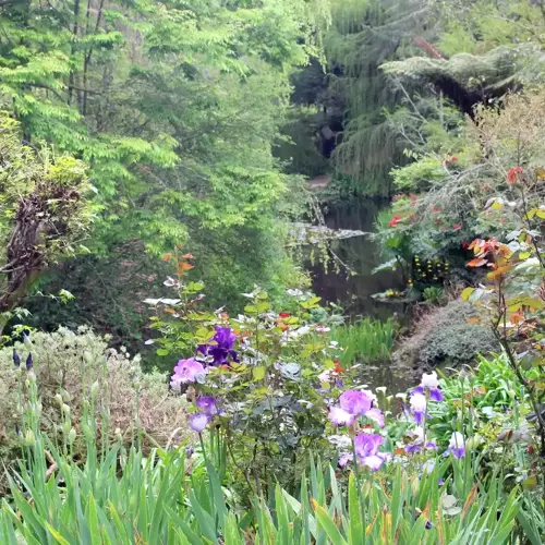 Aramatai Gardens image